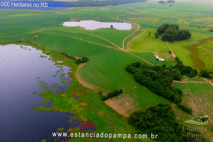 VB 4.00_01_58_20.Quadro028_8035c4e79ebd73c43d45d3549a5b5ba25f516d42.jpg